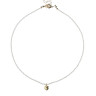 Choker aus natürlichen Steinen mit Schmetterlingsanhänger D4891