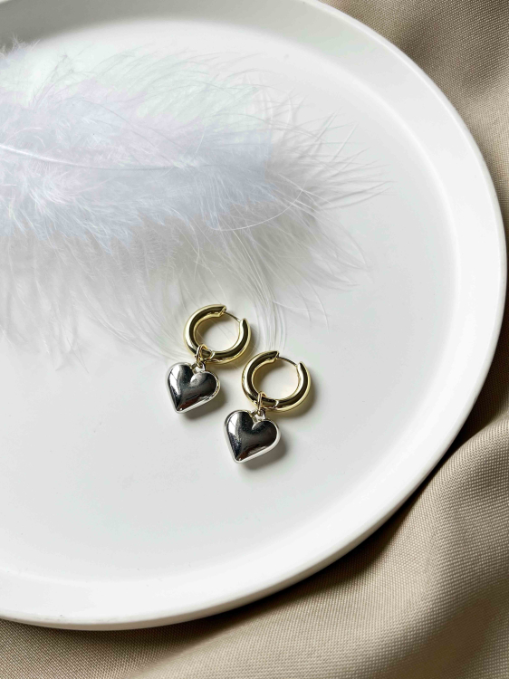 Trendy two-tone earrings with a heart design 5143